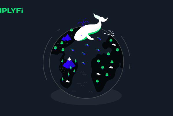 Cover image for whales and climate change blog